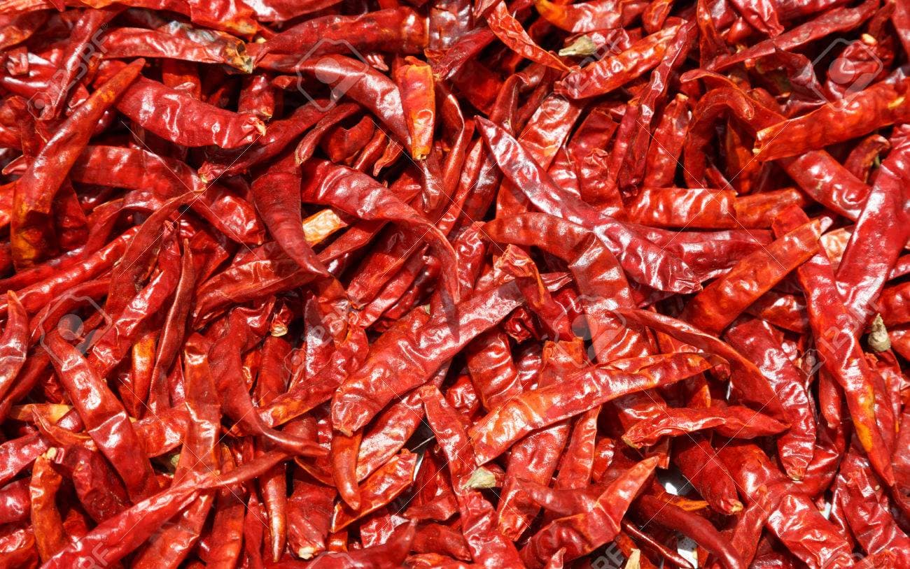 All types hot pepper seeds_ chili pepper seeds_ hot chili